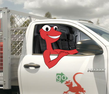 driving gecko