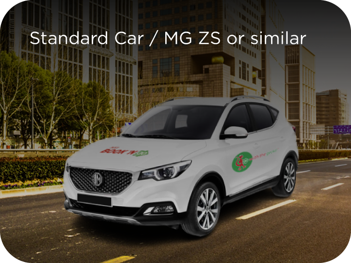 standard car